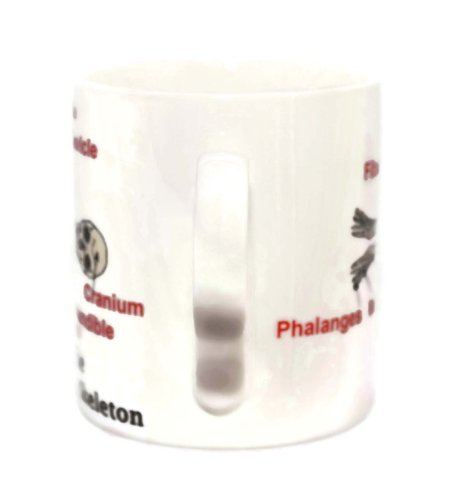 Il Umano Scheletro Tazza di Porcellana