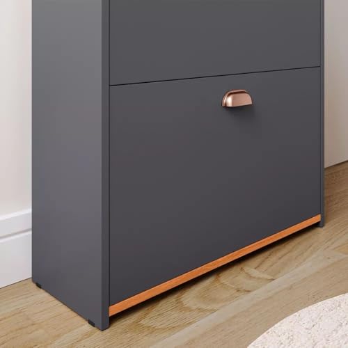 Sapateira Closet 2 Gavetas Basculantes Organizadora 12 Pares Quarto Hall De Entrada Multiuso (Cinza)