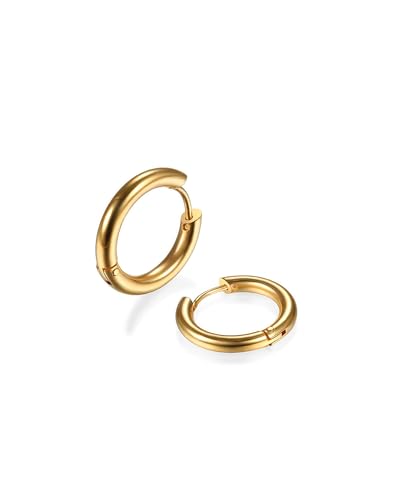 Image of 316L Surgical Stainless Steel Huggie Hoop Earrings 6mm 8mm 10mm 11mm 12mm 14mm Hypoallergenic Earrings Hoop Cartilage Helix Lobes Hinged Sleeper Earrings For Men Women