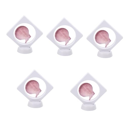 Conchas naturales decorativas para centros de mesa y adornos de hogar estilo costero mediterráneo 2