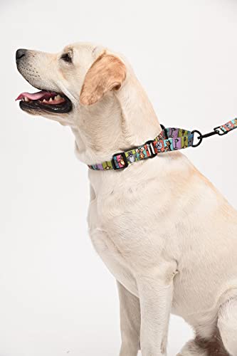Tom and Jerry X Mutt of Course Woofy Poses Dog Martingale Collar | Neck ...