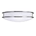 Lunabode LED Flush Mount Ceiling Light, Double Ring, Close to Ceiling Fixture, 22W (100W Eq), 1800lm, 4000K, Brushed Nickel, ETL (15