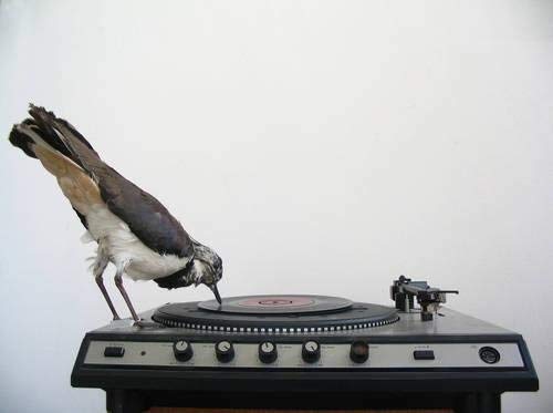 [(The Record: Contemporary Art and Vinyl )] [Author: Trevor Schoonmaker] [Oct-2010]