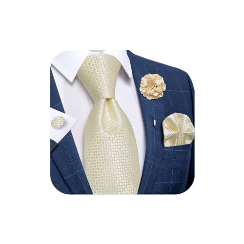 Image of DiBanGu Silk Ties for Men Necktie and Lapel Pin Brooch Set Formal Woven Paisley Plaid Striped Solid Tie Wedding Party