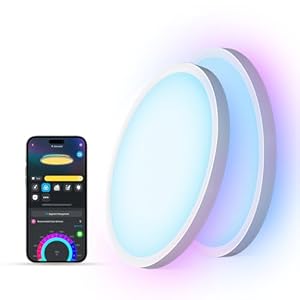 Govee Smart Ceiling Light, RGBIC LED Ceiling Light Fixture, 2400LM Flush Mount Light Fixture, DIY Colors, Works with Alexa, 2200K-6500K Ceiling Lights for Bedroom, Living Room, 12 Inch, 2 Packs