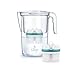 BWT Wasserfilter VIDA 2,6 l weiß mit 2 Filterkartuschen Zinc + Magnesium Mineralized Water | Immunsystem schützen mit Zink