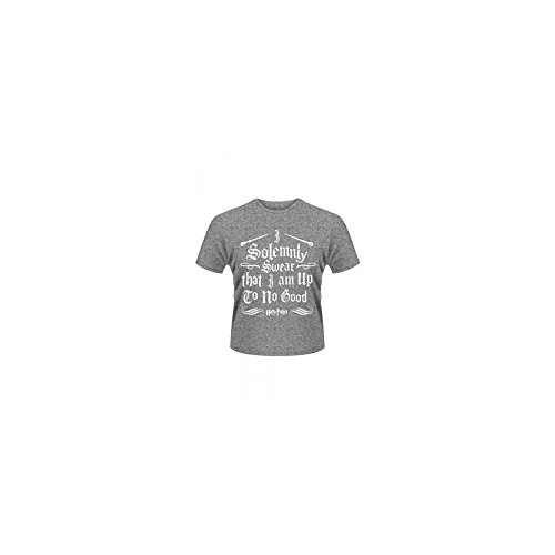 Plastic Head Harry Potter Solemnly Swear T-Shirt