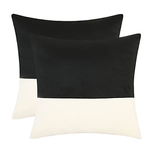 Cygnus 22X22 Inch Black And White Velvet Throw Pillow Covers Case With Zipper Super Soft Pillowcase For Living Room Couch Sofa Chair Decorative (Pack Of 2) #TOP15