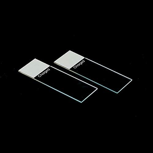 Positively Charged Glass Microscope Slides (2 Units, 72/Unit) – Ground Edge, Adhesive/Frosted Glass Slide Set – Essential Microscope Accessories for Standard Science Lab Equipment