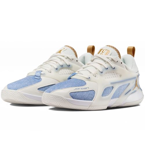 [iCL] W[_ GA[ V[Y PF W JORDAN AIR SERIES PF Denim and Gold ZC/[Nu[/nChWFu[/S[h FZ2473-104 24.5cm