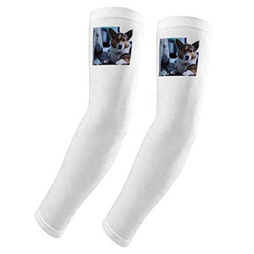 Housse de protection solaire Corgi pour chien par DIYthinker