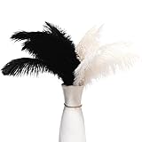 20 pcs Ostrich Feathers Plumes Natural Black and White Ostrich Feathers Bulk 7.5-10inch for Wedding Party Centerpieces, Ostrich Feathers for Crafts DIY Flower Arrangement and Home Decoration
