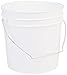 5 gallon bucket or plastic pot for riser