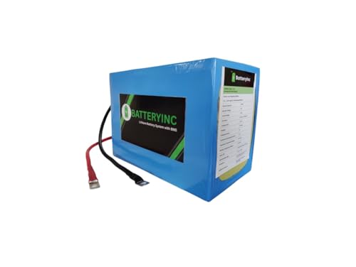 Image of 12V 100Ah Smart Lithium Ferro Phosphate(LFP) Inverter Battery, 5 Years Warranty, Compatible with Solar,Lithium and Lead acid Inverters.