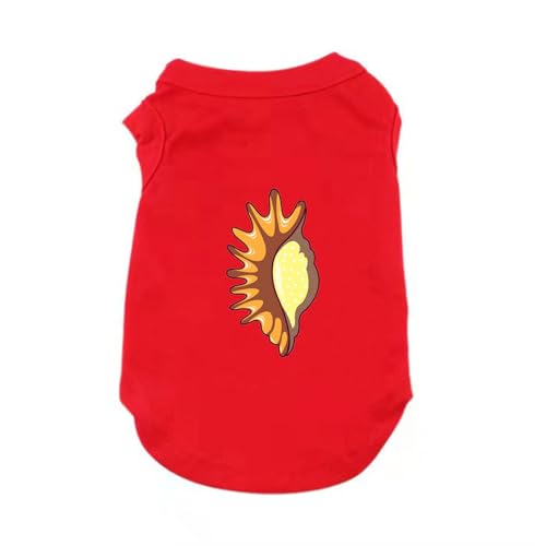 [XZVGJ] ybg Ȃ ʋC t 5XL H _炩 Vc L  킢 ^ ^ pW} Lm _炩 ̕ Ȃ lC  t@bV  ʋC ₩ LOBe U [΍