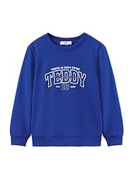Navy Blue Teddy Bear