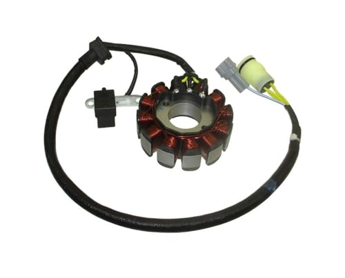Stator de magnéto 12 bobines pour réparer les pannes d'allumage moteur NC250
