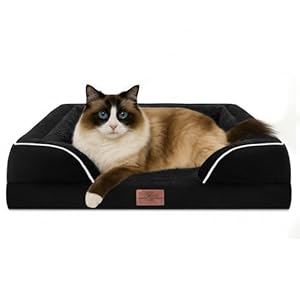 Comfort Expression Small Dog Beds Waterproof Orthopedic Foam Sofa Beds for Small Dogs Comfy Pet Bed with Washable Removable Cover & Non-Slip Bottom(XX-Small,Black)