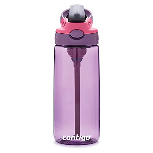 Image of Contigo Aubrey Kids Water Bottle, 20oz, Eggplant, Spill-Proof Lid, Dishwasher Safe, Easy Clean, Purple and Pink