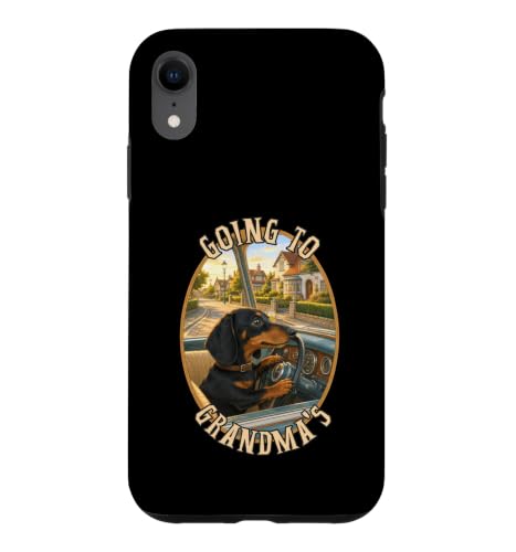 �ʔ����_�b�N�X�t���h�h�N�V�[ �i�i�̂��΂������̉^�]�ɍs�� �X�}�z�P�[�X iPhone XR �p
