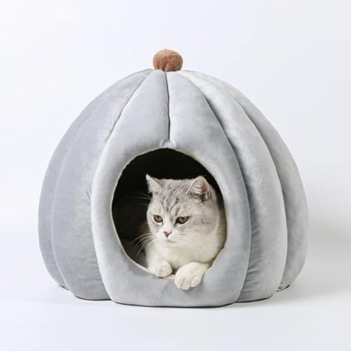 GEBYUII[V[YΉ̃ybg̑Aꂽ~p̒gT{e̔L̑AO\Ő􂦂L̑Aybgpi