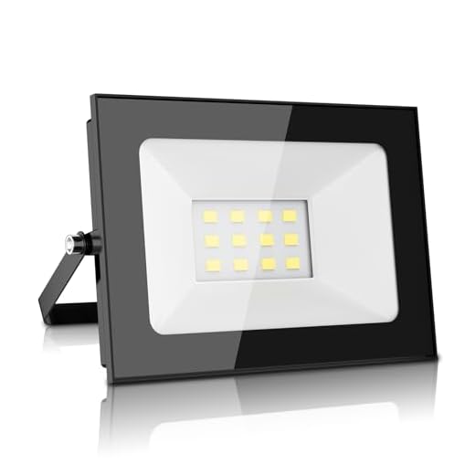 papasbox 12V 10W LED Fluter, Superhell 800LM Strahler Außen Flutlicht 3000K Warmweiß, Wasserdicht IP65 Scheinwerfer Wandleuchte für Garten, Hof, Terrasse, Quadrat, Fabrik