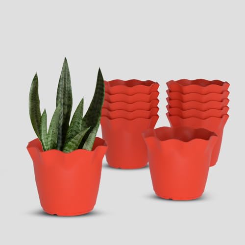 Image of YUCCABE ITALIA SHERA 8 Inch Plastic Flower Pot 12 Piece Set of Unbreakable Round Shape Planter for Home Garden Seedling, Indoor and Outdoor (Red)