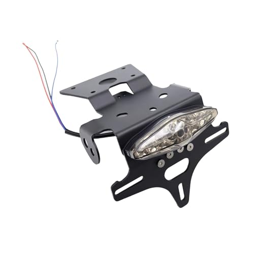 Support de plaque court GSX-8S GSX-8R 2024 avec éclairage LED homologué intégré