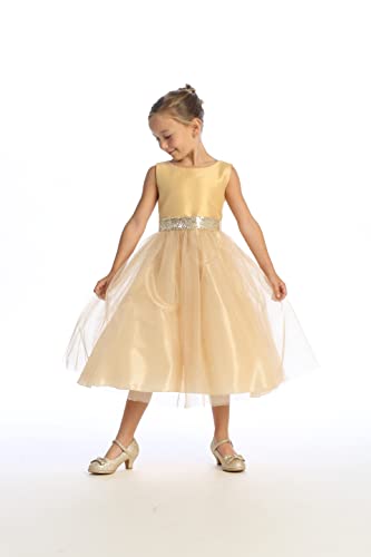 Pink Princess Made in USA Girls Christmas Dress - Flower Girl Dresses for Weddings - Toddler Daddy Daughter Dance3