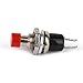 10x Mini Momentary Push Button Horn Switches OFF (on) for Model Railway Hobby - Highly Effective Momentary Off (On) Switch - Chassis Mounting - Red Color - - as described, Red