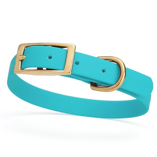 Image of Viper Biothane Heavy Duty Waterproof Dog Collar Strong Coated Nylon Webbing w /Solid Brass Hardware Odor-Proof Easy to Clean High Performance Fits Small Medium or Large Dogs, Sky Blue