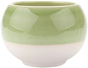 3 inch Succulent Planter Pots Ceramic with Trays Pack of 2, Ball Shape Cactus Planters Container Wildowsill Boxes with Bamboo Saucers Pink & Green