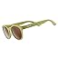 Fossil Finding Focals