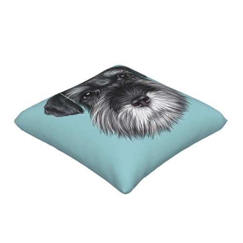 Housses de coussin Schnauzer bleu : protégez et décorez