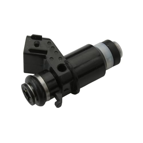 Inyector de combustible inyección precisa para Citycom 300 y JOYMAX 250I 4