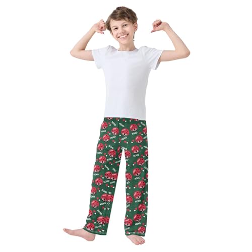 Ladybug Love Heart Boys Long Pants Soft Trousers Elastic Waist Kids Lounge Bottoms with Pockets S-XL2