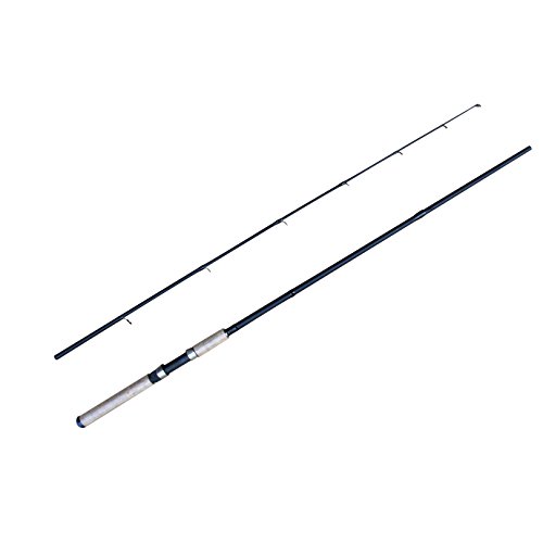 CarbonZeal Spinning Fishing Rod Pole, 2-Piece Strong and Lightweight Portable Travel Carbon Fiber