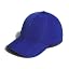 team royal blue