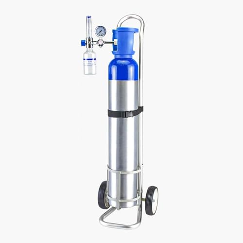 Chariot de réservoir d'oxygène portable pour sécuriser vos déplacements