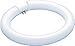 BULB CIRC FL 22W T9 8"