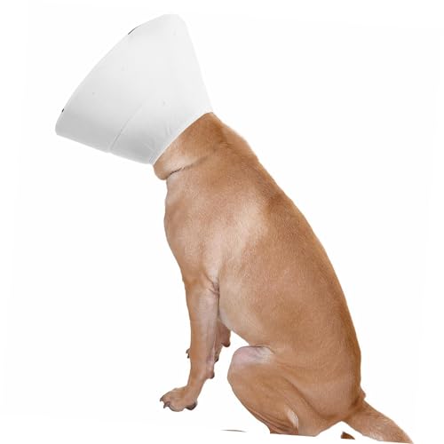 Collier pour chats et chiens réglable pour stérilisation et soin