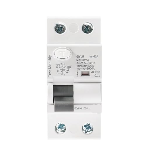 Disjoncteur différentiel GYL9 2P 80A 100mA pour tableau électrique