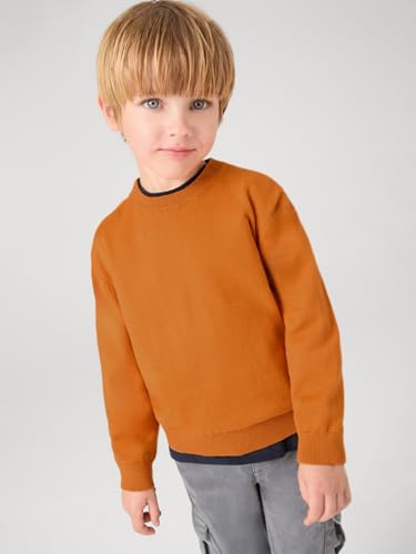 Mayoral Basic Cotton Jumper w/Round for Boys Carrot4