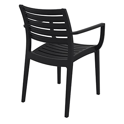 Compamia Artemis Outdoor Patio Dining Arm Chair In Black (Set Of 2) #TOP1