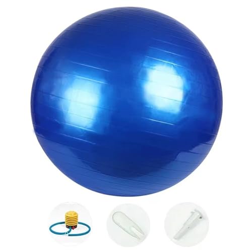 Exercise Ball Yoga Ball,Slip Resistant and Anti-Burst Stability Ball with Quick Pump,Workout Ball,Birthing Ball for Pregnancy,Swiss Ball for Home Gym Physical Therapy Balance Fitness Pilates