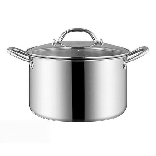 NbgrvB Olla profesional de acero inoxidable con tapa de vidrio de ventilación de vapor, bandeja de vapor de 25 x 14,6 cm para sopa, guiso, enlatado, inducción, acabado espejo compatible