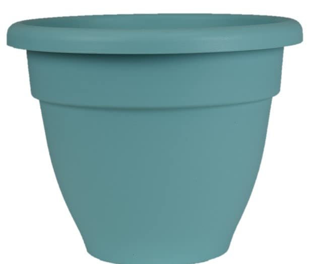 The HC Companies 10 Inch Caribbean Planter - Lightweight Indoor Outdoor Plastic Plant Pot for Herbs and Flowers, Teal