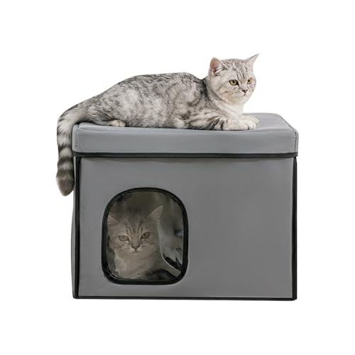 Maison fraîche pour chat extérieur et refuge glacière pliable pour balcon