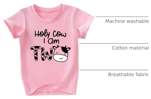 Image of Toddler Girls 2nd Birthday Shirt Outfit for Girls Cute Two Years Old Birthday Gift