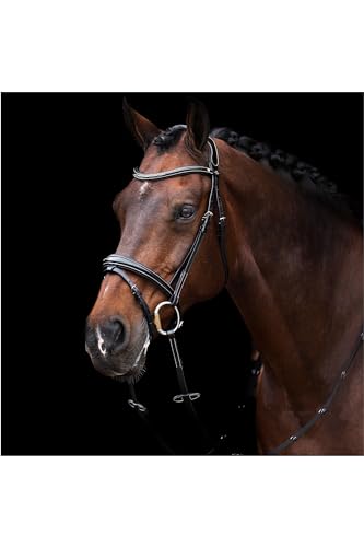 HV Polo Legacy Bridle noir au quotidien pour vos séances d'entraînement